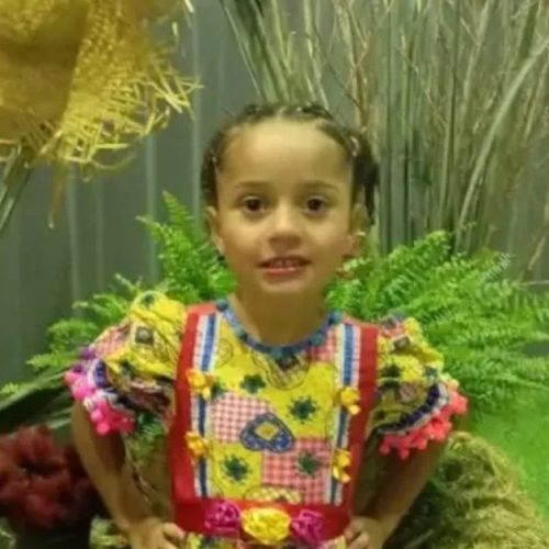 Menina de 6 anos morre após disparo acidental feito por irmão de 12 anos