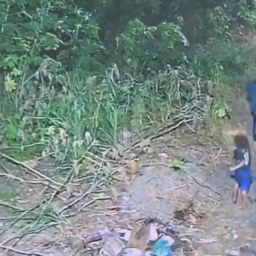 Vídeo mostra momento em que tio-avô leva menino de seis anos para área de mata em Maceió