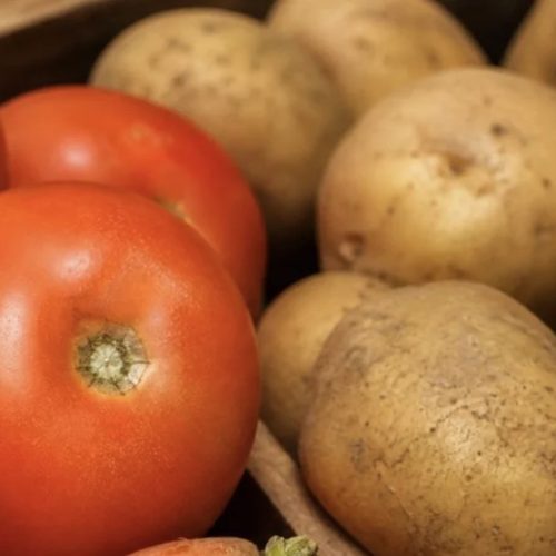 Tomate, cenoura e batata acumulam alta de mais de 100% em 2026,aponta IBGE