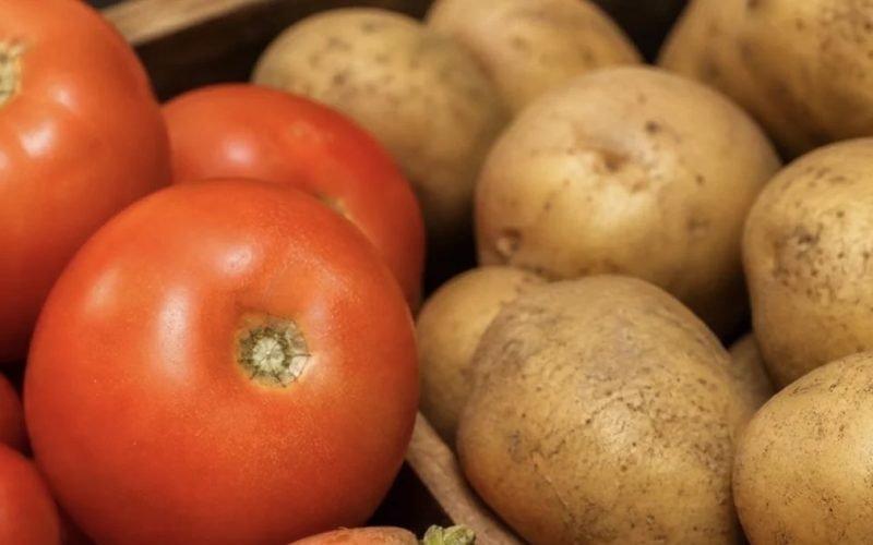 Tomate, cenoura e batata acumulam alta de mais de 100% em 2026,aponta IBGE