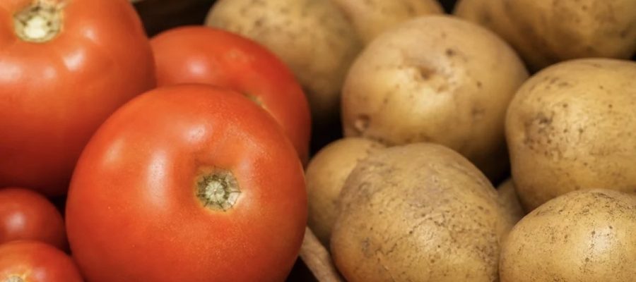 Tomate, cenoura e batata acumulam alta de mais de 100% em 2026,aponta IBGE