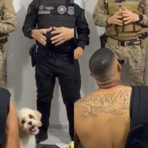 Cachorro acompanha tutor durante prisão em Teresina e comove durante operação policial