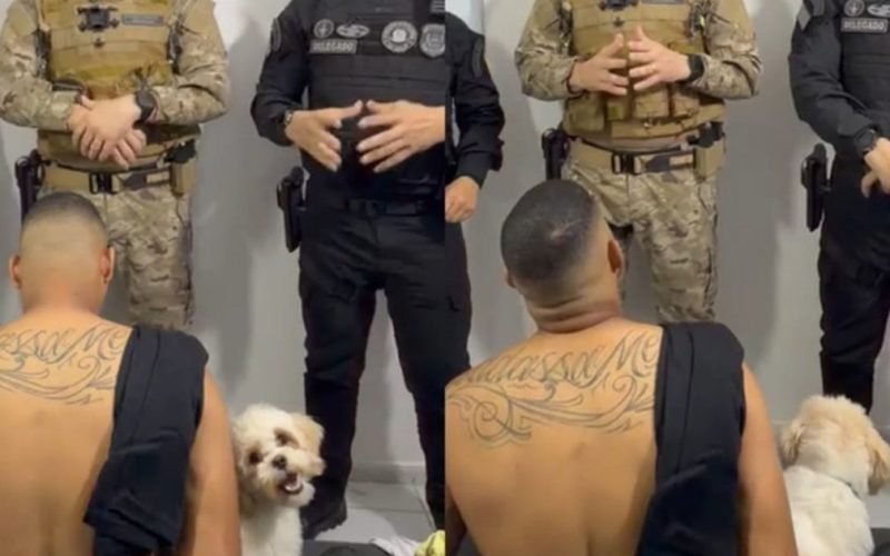 Cachorro acompanha tutor durante prisão em Teresina e comove durante operação policial