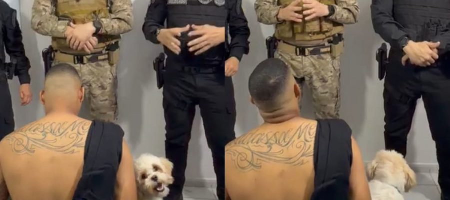 Cachorro acompanha tutor durante prisão em Teresina e comove durante operação policial