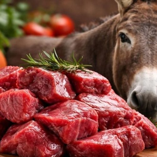 Argentinos recorrem à carne de burro diante de crise econômica