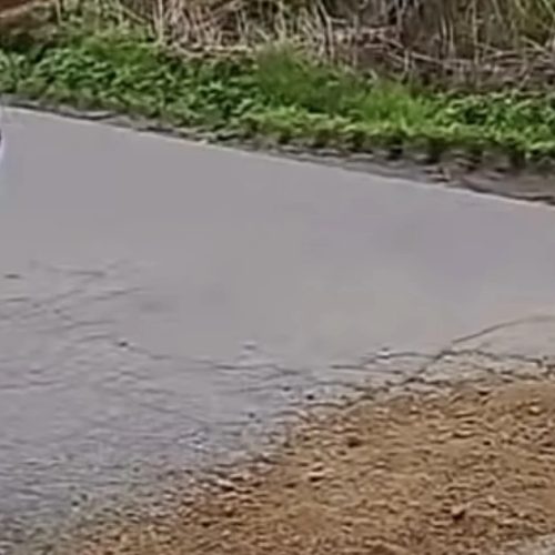 Motoristas improvisam reparo em buracos na AL-210 entre Paulo Jacinto e Quebrangulo