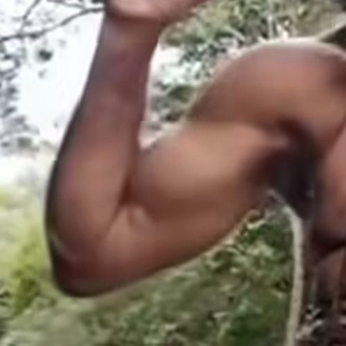 Homem enrolado com arame farpado no corpo abraça cacto e deixa web assustada