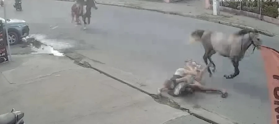 Casal cai de cavalo durante trajeto em alta velocidade em Arapiraca