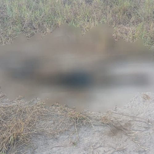 Enquanto brincavam de pipa, crianças acham cadáver no Benedito Bentes