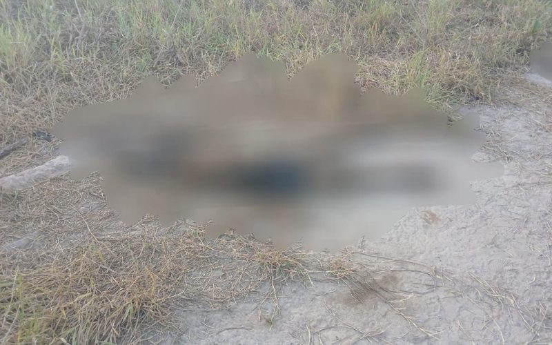 Enquanto brincavam de pipa, crianças acham cadáver no Benedito Bentes