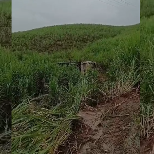 Caminhão de lixo tomba na AL-105 e deixa uma pessoa ferida