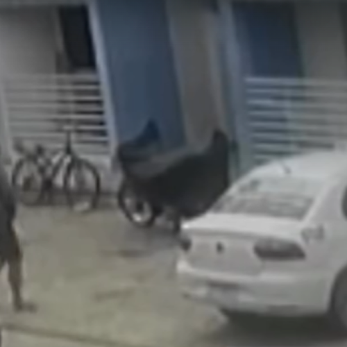 Câmeras registram assassinato cometido por vizinho dentro de apartamento em Rio Largo