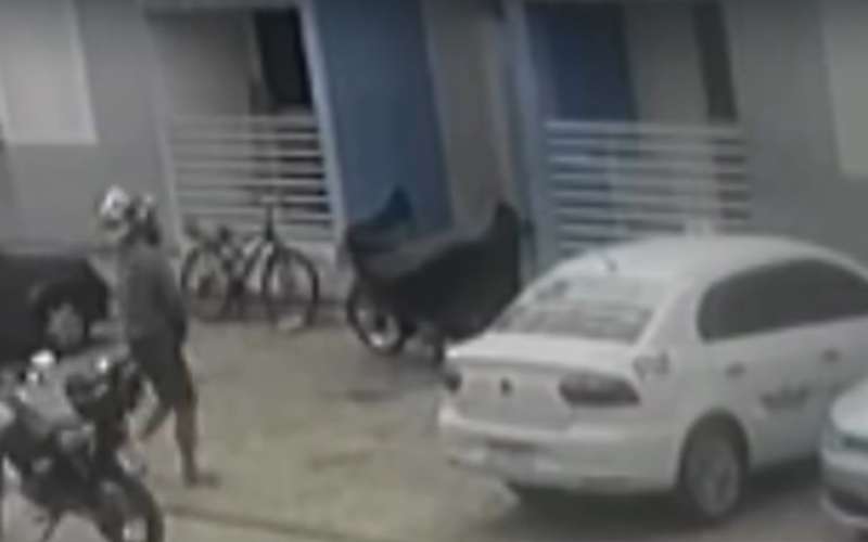 Câmeras registram assassinato cometido por vizinho dentro de apartamento em Rio Largo