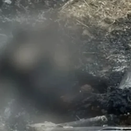 Corpo carbonizado encontrado em Pernambuco pode ser de alagoano desaparecido