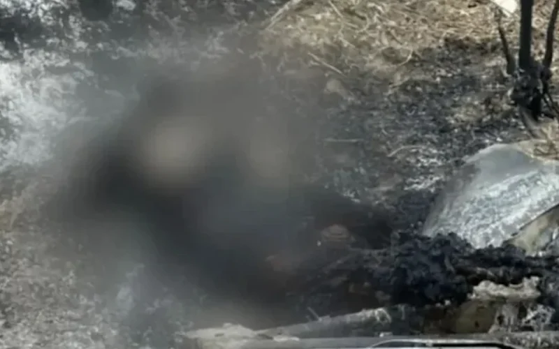 Corpo carbonizado encontrado em Pernambuco pode ser de alagoano desaparecido