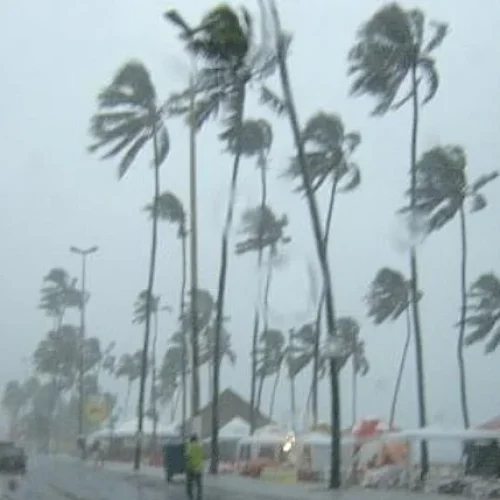 Volume de chuvas deste domingo corresponde a quase metade do esperado para o mês