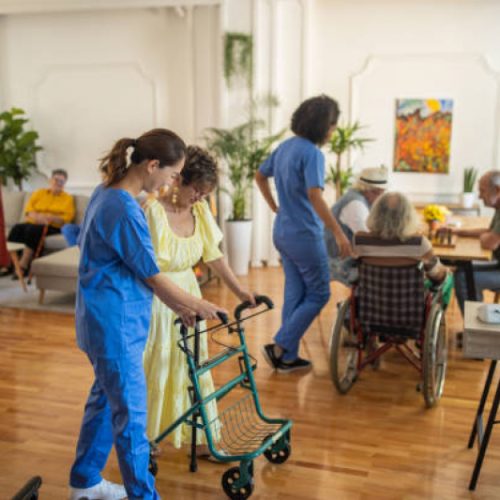 Comissão aprova projeto que torna obrigatório asilo gratuito em cidade com mais de 100 mil habitantes