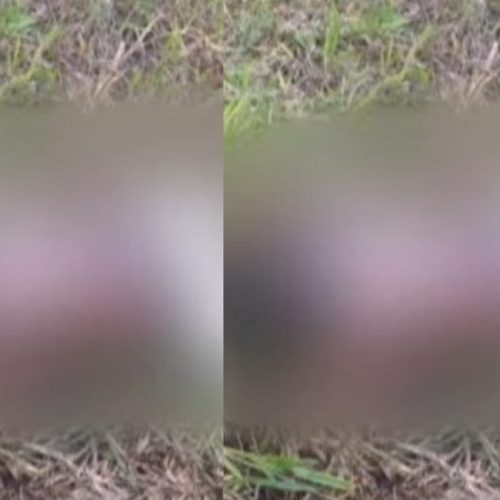 Família encontra corpo de jovem desaparecido na Cidade Universitária