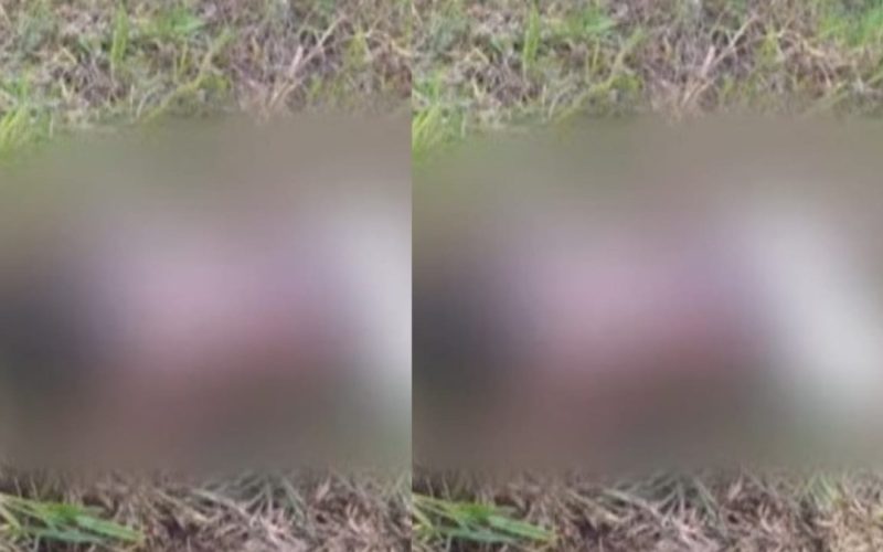 Família encontra corpo de jovem desaparecido na Cidade Universitária