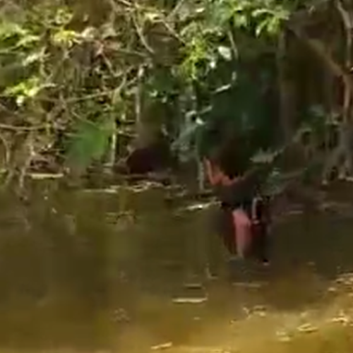 Corpo de homem é encontrado na Lagoa dos Negros durante celebrações do Dia da Consciência Negra na Serra da Barriga