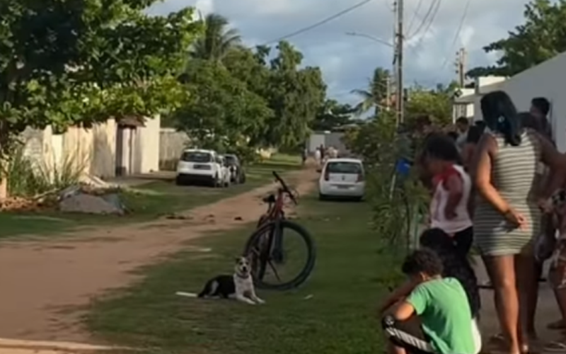 Criança de três anos morre após se afogar em piscina de residência em Tabuba