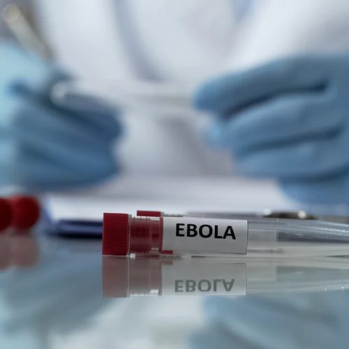 Sem vacina para variante rara, OMS inicia testes de terapias contra Ebola