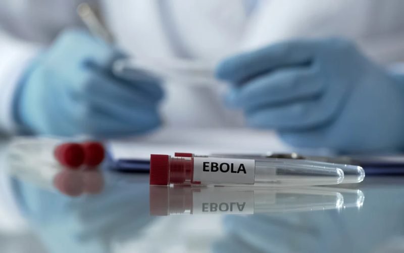 Sem vacina para variante rara, OMS inicia testes de terapias contra Ebola
