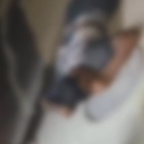 Jovem de 17 anos é morto a tiros na Jatiúca, em Maceió