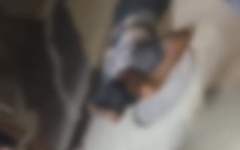 Jovem de 17 anos é morto a tiros na Jatiúca, em Maceió