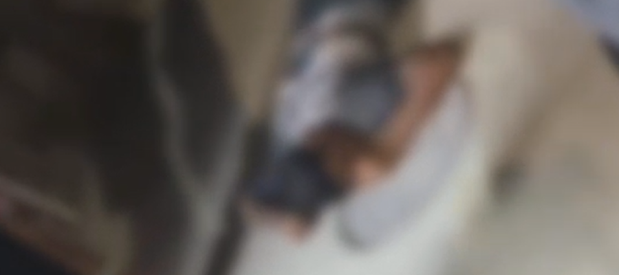 Jovem de 17 anos é morto a tiros na Jatiúca, em Maceió