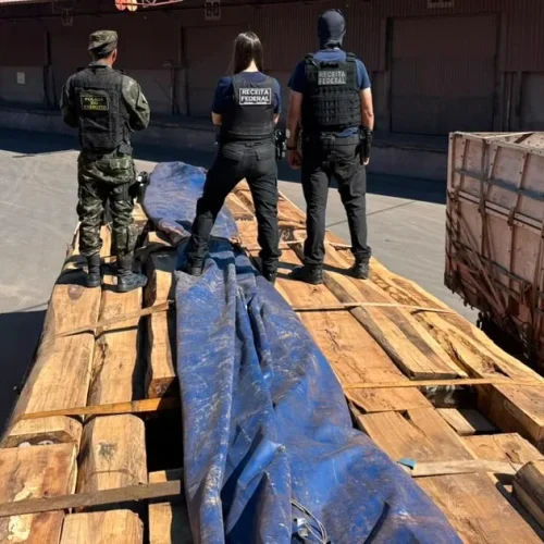 Cocaína na madeira: Operação realiza maior apreensão do Brasil, segundo estimativa da Receita Federal