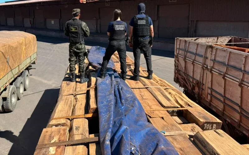 Cocaína na madeira: Operação realiza maior apreensão do Brasil, segundo estimativa da Receita Federal