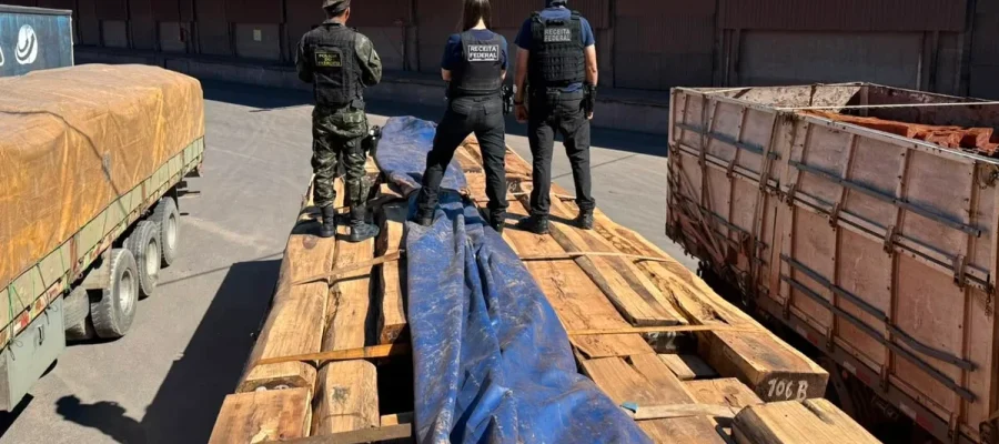 Cocaína na madeira: Operação realiza maior apreensão do Brasil, segundo estimativa da Receita Federal