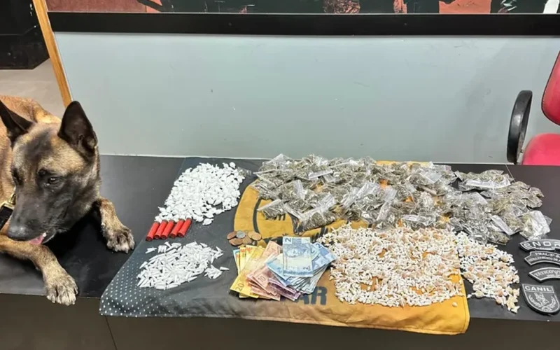 Operação da PM em Alagoas tira quase 50 kg de drogas e 25 armas das ruas em uma semana