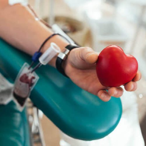 Hemoal reforça plantão de doação de sangue em Maceió e Arapiraca durante o Carnaval