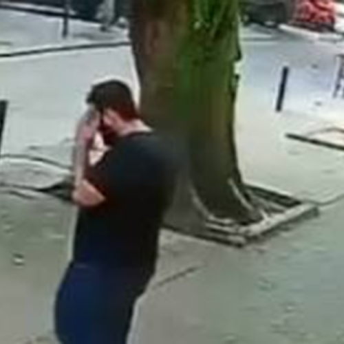 Vídeo mostra momento em que árvore despenca e homem escapa por pouco