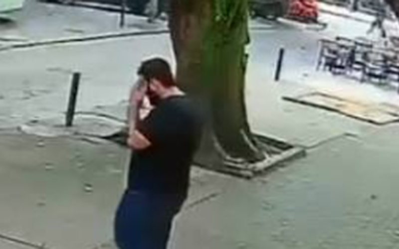 Vídeo mostra momento em que árvore despenca e homem escapa por pouco