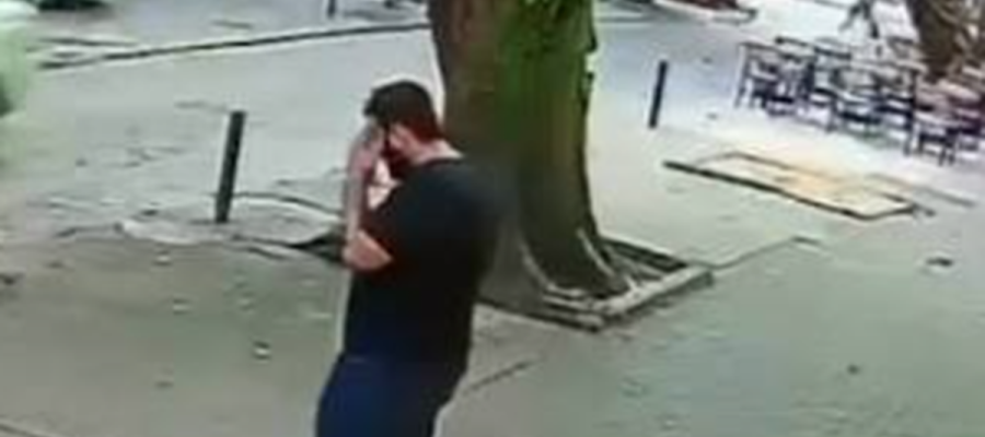 Vídeo mostra momento em que árvore despenca e homem escapa por pouco