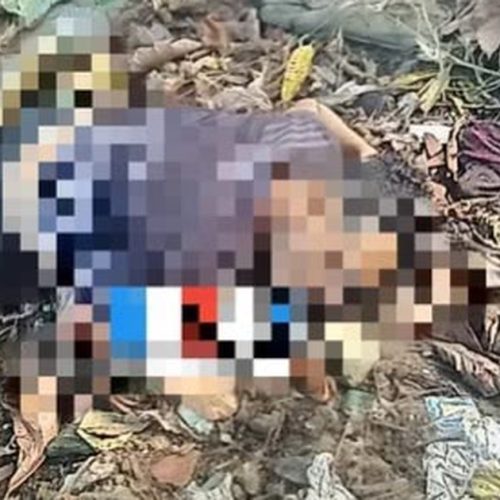 Criminosos invadem casa na madrugada, sequestram homem e o executam em área de mata em Maceió