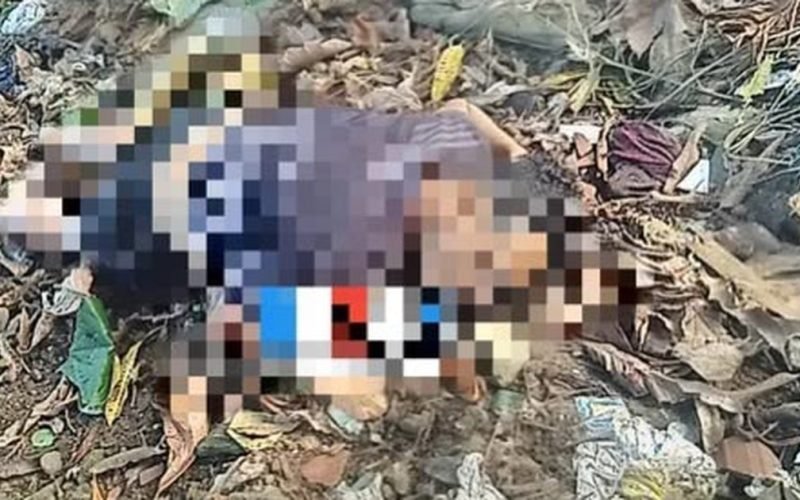 Criminosos invadem casa na madrugada, sequestram homem e o executam em área de mata em Maceió