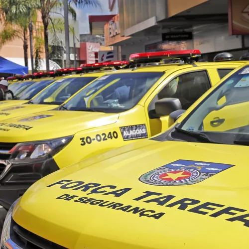 Força Tática do 12º BPM prende indivíduo com arma de fogo calibre 12 no Conjunto Village Campestre