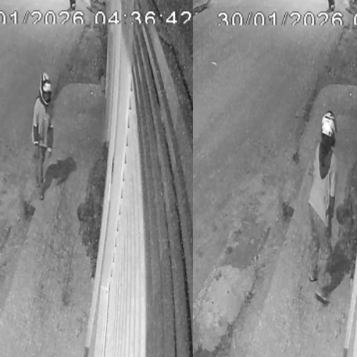 Mulher é flagrada furtando planta de casa durante a madrugada em Água Branca