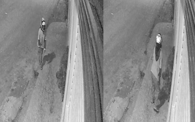 Mulher é flagrada furtando planta de casa durante a madrugada em Água Branca