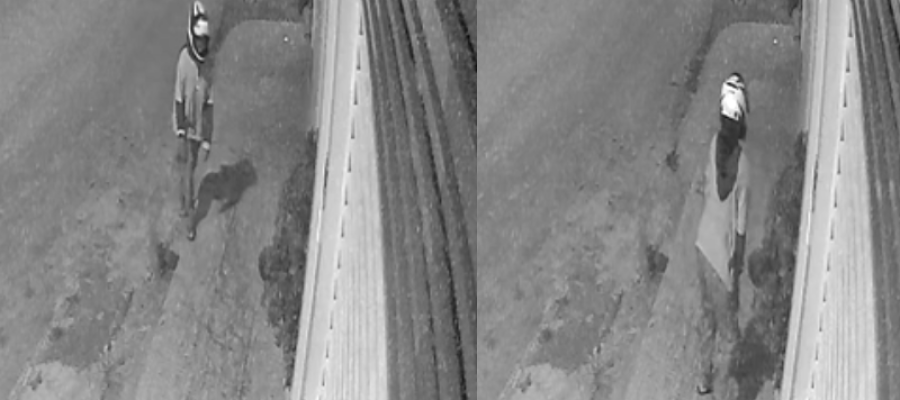 Mulher é flagrada furtando planta de casa durante a madrugada em Água Branca