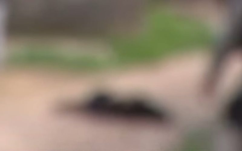 Homem é morto com cerca de 20 tiros durante a madrugada no Benedito Bentes