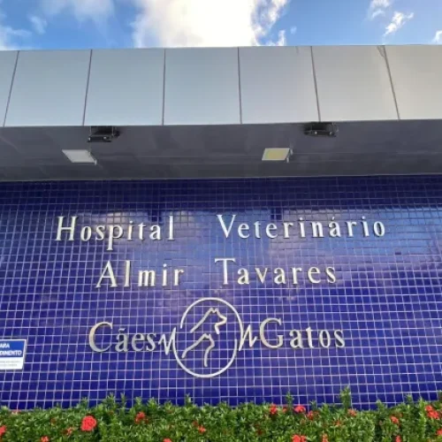 Hospital veterinário de Maceió é condenado por negligência após morte de cadela
