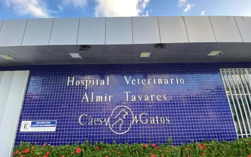 Hospital veterinário de Maceió é condenado por negligência após morte de cadela