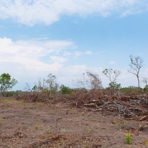 Municípios do sertão de Alagoas entram em situação de emergência por causa da estiagem