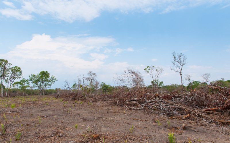 Municípios do sertão de Alagoas entram em situação de emergência por causa da estiagem