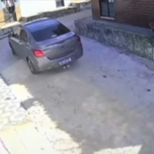 Após investigação, defesa de motorista suspeito de atropelar cadela publica posicionamento